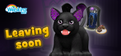 Vampire_Kitten_Leaving_Feature