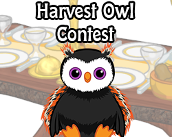 POTM Contest