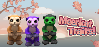 meerkat-feature