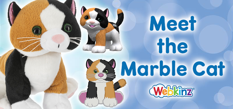 meet the marble cat_feature