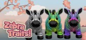 zebra-feature