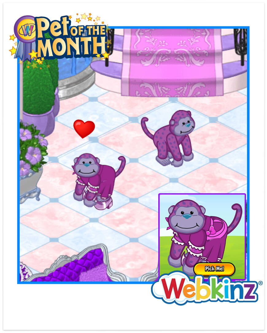 `ARTICLE-POTM-SugarplumCheekyMonkey