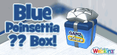 BluePoinsettiaBox-feature