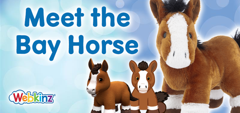 Meet the Bay Horse_Feature