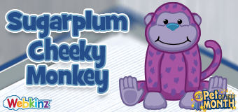Adopt a Sugarplum Cheeky Monkey in December!