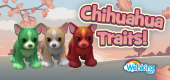 chihuahua-feature