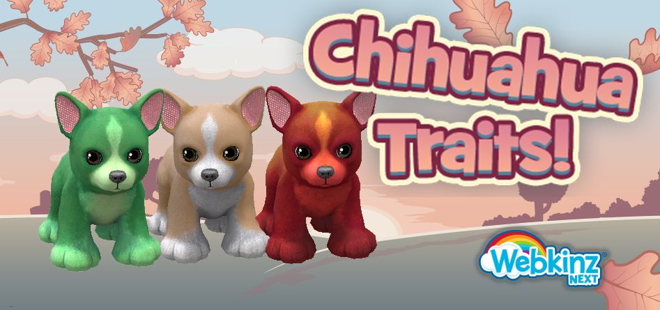 chihuahua-feature