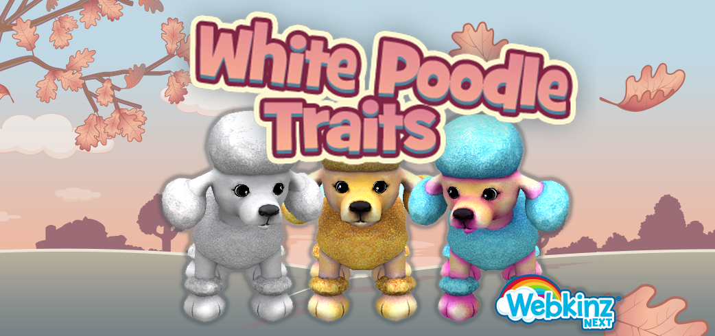 whitepoodlefeature