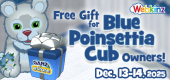 blue_poinsettia_feature
