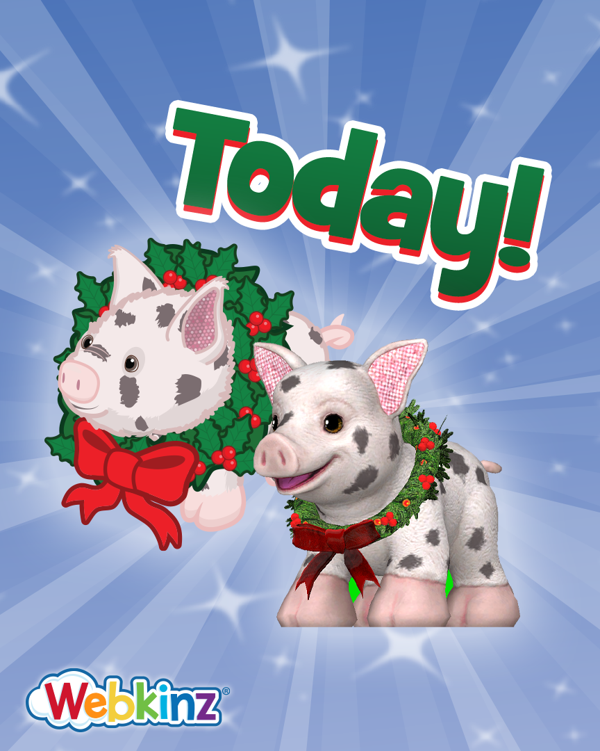 dec2025_player_app_IG