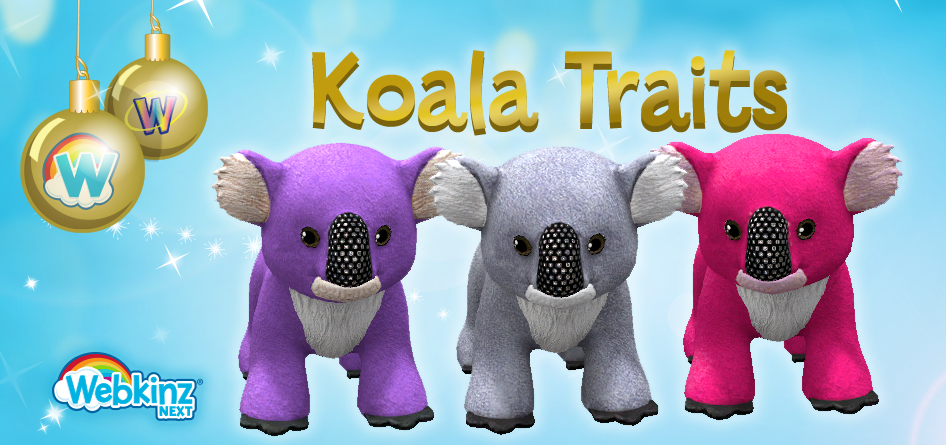 koala-feature