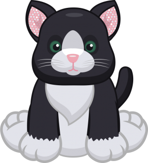 Classic_black_white_cat