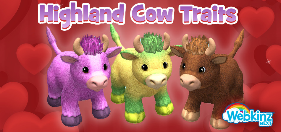 Highland-Cow-Feature