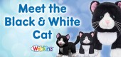 Meet the Black and White Cat_Feature