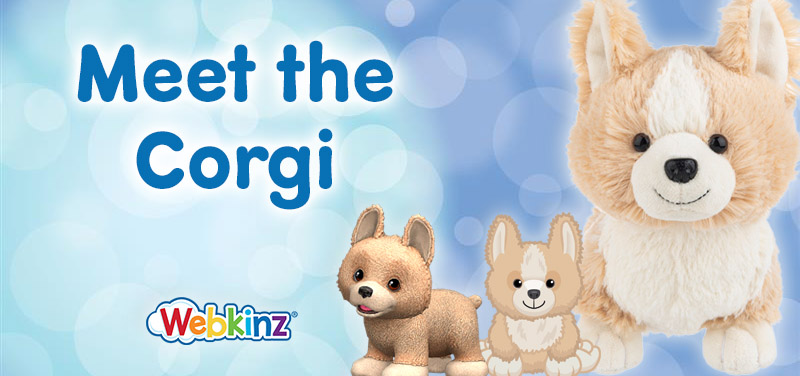 Meet the Corgi_Feature (1)