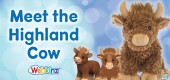 Meet the Highland Cow_Feature