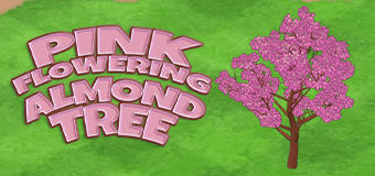 Get decorating with the Pink Flowering Almond Tree!