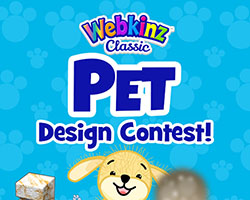 Pet Design Contest