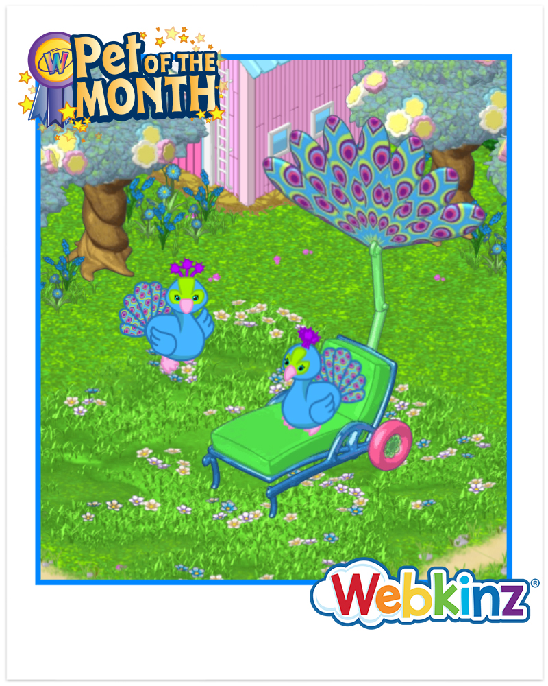 `ARTICLE-POTM-PrettyPeacock