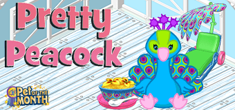 Adopt a Pretty Peacock in March!