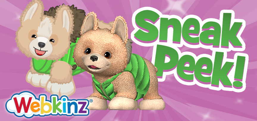 feb2026_player_app_SP_feature