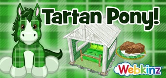 Say Hello to the Tartan Pony!