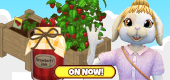 Visit the Garden Center at the Clubhouse