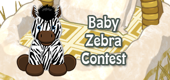 baby zebra contest feature