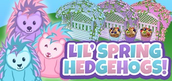 Say Hello to the Lil Spring Hedgehog trio!