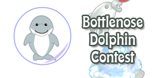 bottlenose dolphin feature