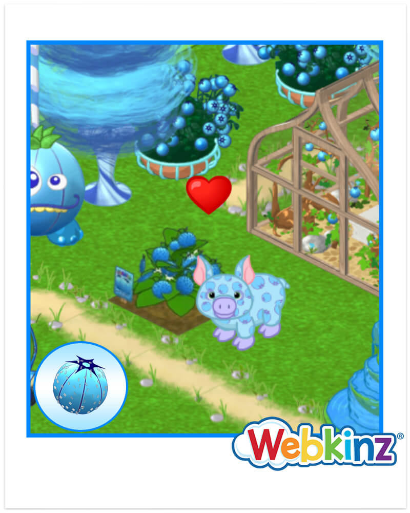 `ARTICLE-SkyBerryPig