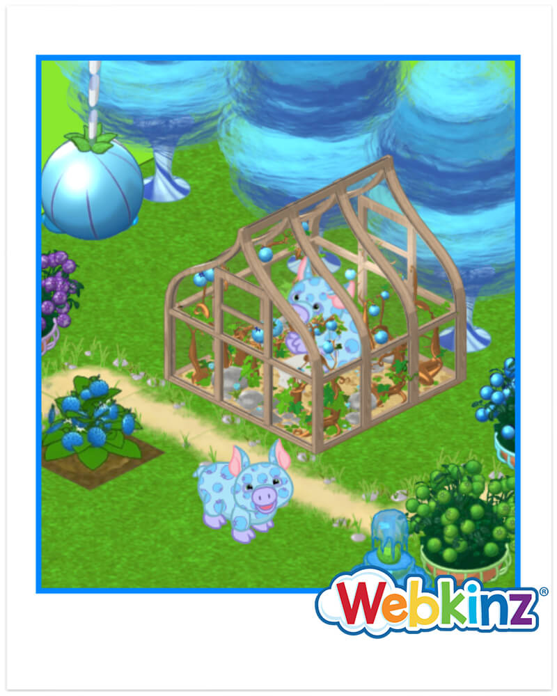 `ARTICLE-kcott-SkyBerryGreenhouse