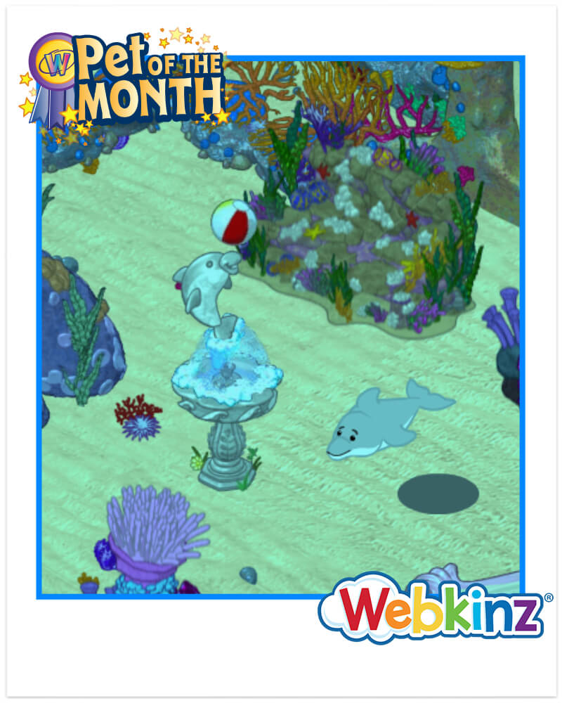 `ARTICLE-potm-BottlenoseDolphin