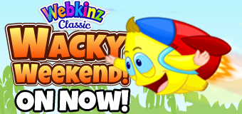 On Now! - Wacky Weekend WackyER Zingoz Prizes