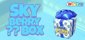 SkyBerryBox-feature