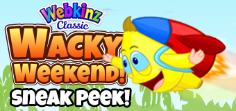 Sneak Peek - Wacky Weekend WackyER Zingoz Prizes