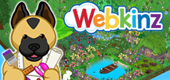 Webkinz Room Designs