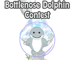 POTM Contest