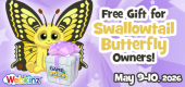 swallowtail_feature