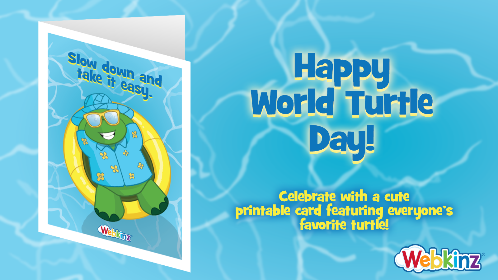 turtle_day_FB