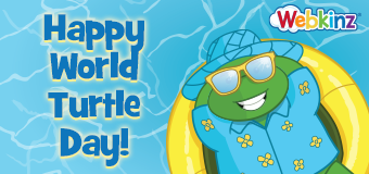 turtle_day_Feature