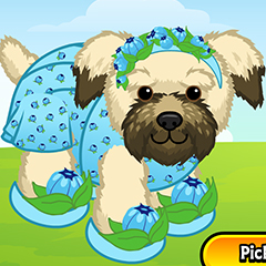 `ARTICLE-SkyBerryHband-Dress-Slippers