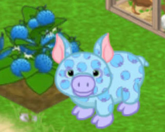 Sky Berry Pig