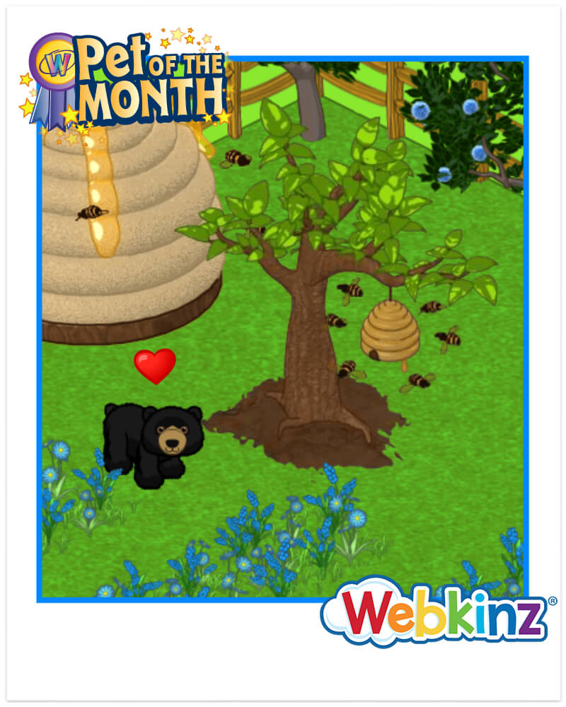 `ARTICLE-potm-AmericanBlackBear