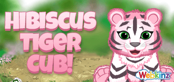 The Hibiscus Tiger Cub arrives in Webkinz World July 1, 2026!