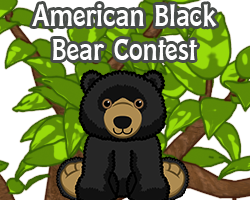 POTM Contest