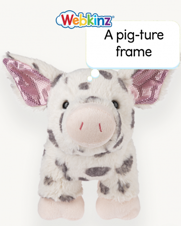 spotted-pig