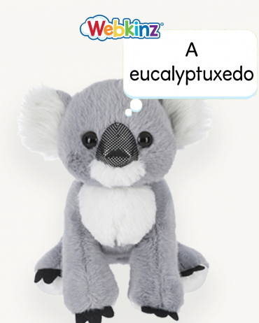 koala