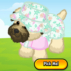 `ARTICLE-SweetShellOveralls-BucketHat