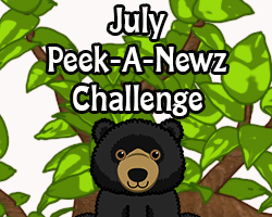 Peek-A-Newz Challenge